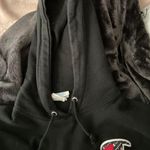 Champion Hoddie Photo 1