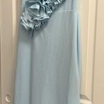 Betsy and Adam  Powder Blue Gown Photo 1