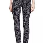 Tory Burch NWT Dotted Pony pants Photo 0