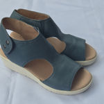 Johnston & Murphy   Blue Wedge Sandals Photo 0