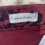 Social Standards by Sanctuary Jeans Size 16 Photo 3