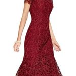 Antonio Melani Women's Midi Lace Cocktail Formal Short Sleeve Mermaid Hem Size 0 Photo 12