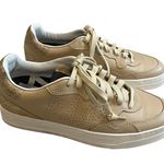 P448 NWOT, Bali Platform Sneaker in Platino/Beige, Sz EU 36 Photo 2