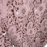 Adrianna Papell  Pink Mauve Lace Lined Long Sleeve Sweatshirt Blouse Size L Photo 2