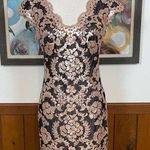 Tadashi Shoji Elegant Antique Pink Sequin Dress! Photo 0