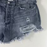 Free People  Gray Loving Good Vibrations Denim Shorts Photo 2