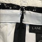 Lane Bryant size 14 womens black white crochet look pencil skirt zips clasps NWT Photo 8