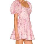 Bardot Barbot Pink Floral Corset Mini Dress Photo 1