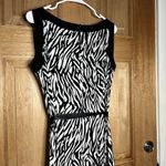 Sandra Darren women’s Monochrome Zebra Pattern Dress size 12 Photo 6