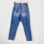 American Eagle Vintage Wash High Rise Curvy Mom Jeans Photo 1