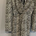 Lucy Paris  Black and Tan Dress Photo 1