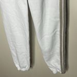 Aviator Nation  5 Stripe Sweatpant Photo 2