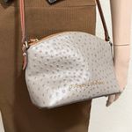 Dooney & Bourke Light Gray Embossed Cowhide Leather Ostrich Ruby Crossbody Bag Photo 3