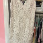 Hello Molly Lace White Dress  Photo 2