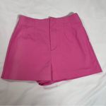 ZARA High Waist Pink Shorts Photo 0