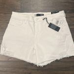 Kut From The Kloth NWT  Jane High Rise Long Short Sz 12 Photo 1
