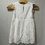 Mustard Seed  Dress Lace Ruffle Sleeves Lightweight Shorts Lined Small V Neck Photo 6