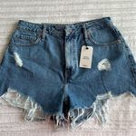 Forever 21  Jean Shorts Photo 0