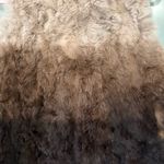 Love Token  Rex Rabbit Ombré Fur Vest, Sz S Photo 9