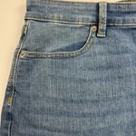 Banana Republic  Factory Y2K Button Fly Straight Denim Jeans Skirt NEW Size 10 Photo 6