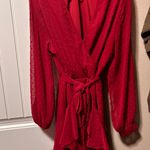 Amazon Red Swiss Dot Dress Photo 0