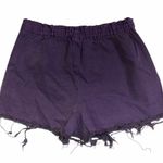 Urban Outfitters Renewal Plum High Waisted Purple Shorts Summer Medium Pocket Photo 1