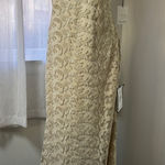 Calvin Klein NWT  Beige Metallic Mesh Cap Sleeve Stretchy Floor Length Gown Photo 0