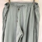Sundance  Sage Green Viscose Zipper Bottom Jogger Joggers Pants Size XL Photo 5