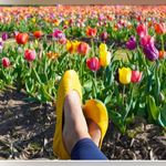 Tieks by Gavrieli Yellow Women's Flats size 9 Photo 2