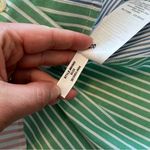 J.Crew  rainbow stripe shirt dress w/ waist‎ tie button front Photo 7