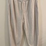 Aerie  Big Chill Jogger Cream Color Size Large Photo 0