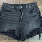 American Eagle AEO Highest Rise 90’s Boyfriend Short’s Photo 0