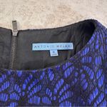 Antonio Melani Royal Blue Lace Long Sleeve Knee Length Dress Size 6 Photo 5