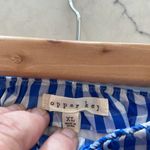 Copper Key Gingham Mini Skirt Photo 4