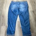 Democracy Artisan Crafted Jeans Size 14 Photo 9