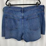 Madewell The Curvy Perfect Vintage Short Sz.22W Photo 10