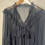 ZARA  sheer black ruffled dotted blouse Photo 2