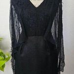 Alberta Ferreti Vintage Black Tissu Fabric Silk sheer feather cape effect sz 4 Photo 0