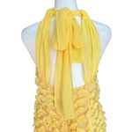 Jill Stuart  Flower Appliqué Chiffon Dress Photo 4