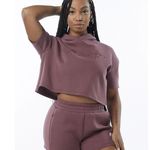 Alphalete  Woman’s  ELMTS Half Sleeve Crop Hoodie - Mauve , Size Medium Photo 0