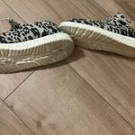 Hey Dude Cheetah Print Photo 3