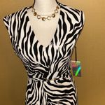 Iris Zebra Striped Midi Dress (NWT) Photo 1
