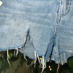 BLANK NYC Hiker Shorts With Embroidery Down Sides Size 31 NWT Photo 2