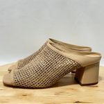 Daniella Shevel Taupe Cream Salma Low Heel Rafia Open Toe Sandal NWOB Photo 7