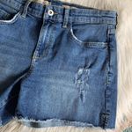 Anthropologie pilcro & the letterpress - slim boyfriend jean shorts Photo 4
