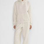 Aritzia Hoodie Photo 0