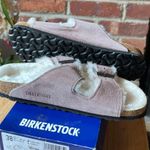 Birkenstock NWT  Arizona Shearling Soft Mauve Photo 0