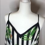 Jealous Tomato  Photo 3