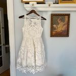 Anthropologie Maeve Pina Lace Pineapple Dress Size 4 Off-White Photo 2