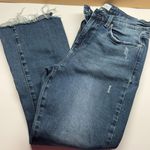 Pistola Jeans Distressed Hem Photo 0